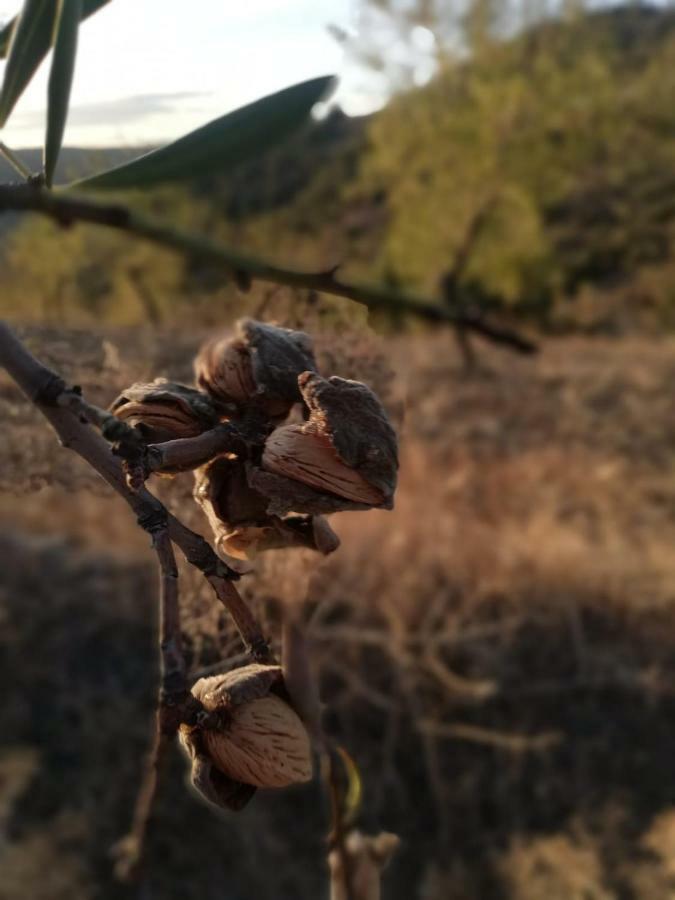 Casas De Xisto Βίλα Mogadouro  Εξωτερικό φωτογραφία